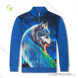 Warm sweatshirt with zipper, long sleeves, children's to youth boys (116-146) KUGO PT2515