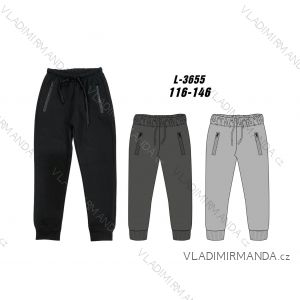 Warm men's sweatpants, oversized (L-3XL) SEZON SEZ25T721