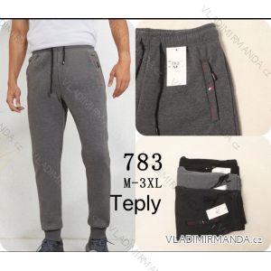 Warm men's sweatpants, oversized (L-3XL) SEZON SEZ25T721