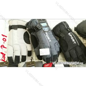 Ski gloves men (uni) TAT P - 01
