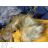 Winter coat jacket insulated with fur (m-3xl) NATURE IM617RQW-4988
