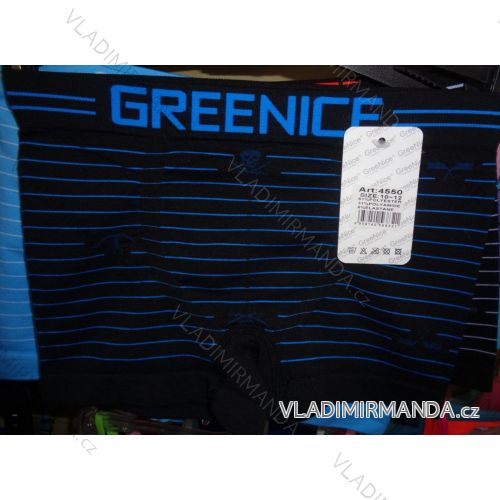 Boxing boys boys (7-15 years old) GREENICE 4550
