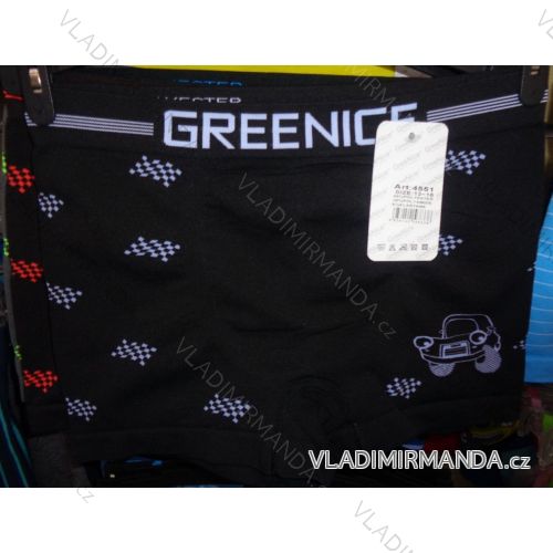 Boxing boys, boys (7-15 years old) GREENICE 4551
