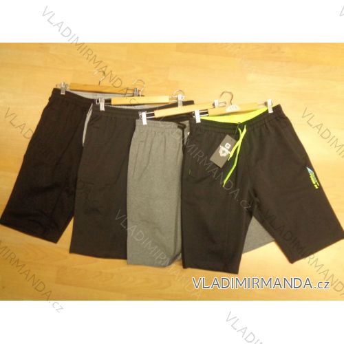 Shorts men's shorts (m-2xl) VOGUE IN 69576
