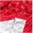 LHD-S-603 Women's Quiksilver Quilt LHD Fashion (s-xl)
