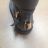Shoes for ankle workers (36-41) OBUV OB318023

