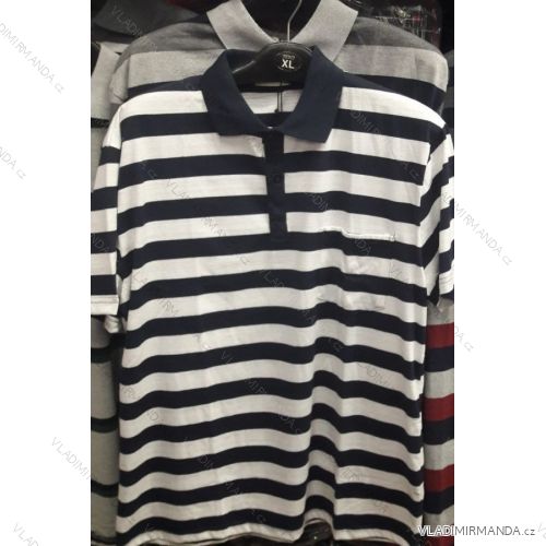Polo shirt short sleeve oversized men's (xl-3xl) ALNWICK KP92304
