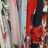 Long Summer Ladies Dresses (uni sm) ITALIAN MODE IM919141
