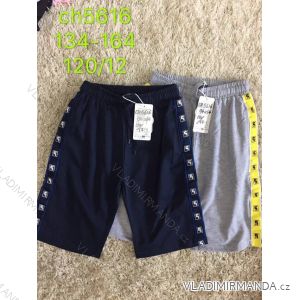 Boys' Youth Shorts (134-164) SAD SAD19CH5616

