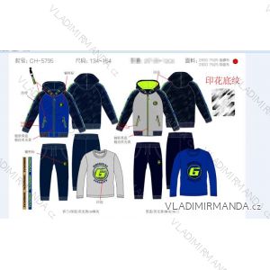 Youth Jacket, T-Shirt & Tracksuit Set (134-164) SAD SAD19CH-5795
