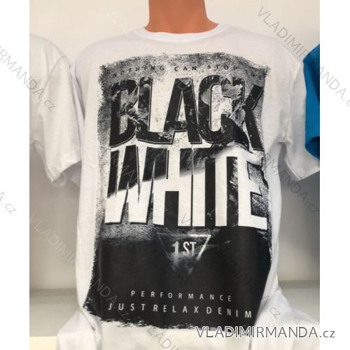 Men's short sleeve t-shirt (m-2xl) DYNAMIC OBS19023