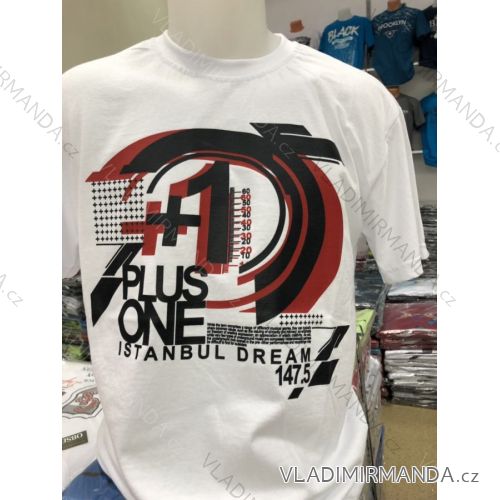 Men's short sleeve t-shirt (m-2xl) DYNAMIC OBS19030
