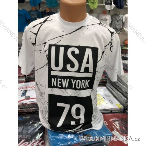 Men's short sleeve t-shirt (m-2xl) DYNAMIC OBS19032