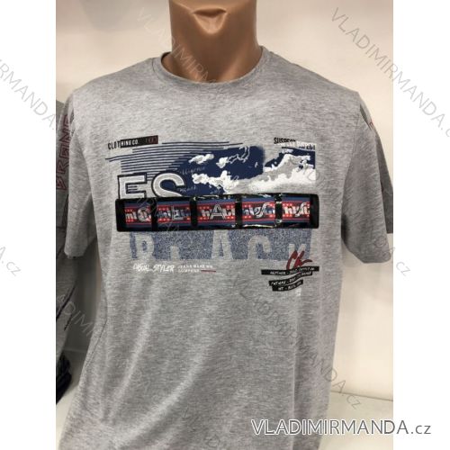 Men's short sleeve t-shirt (m-2xl) DYNAMIC OBS19035
