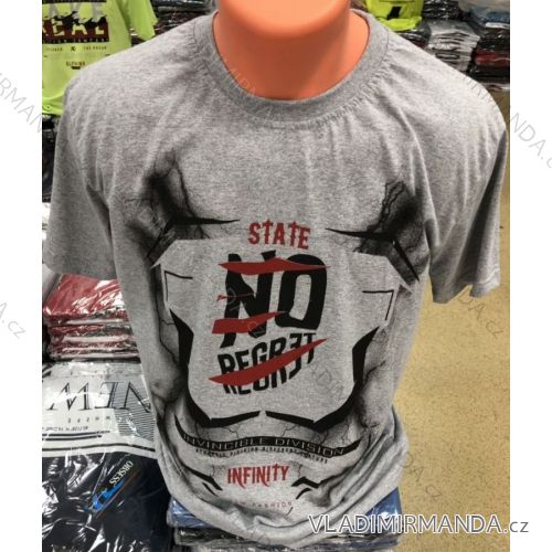 Men's short sleeve t-shirt (m-2xl) DYNAMIC OBS19040