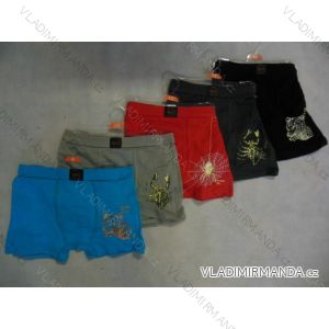 Boxers children's and youth boys (6-12 years old) WD WD0004
