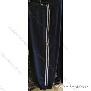 Men's Sweatpants oversized (m-3xl) NAN YUAN C2-1
