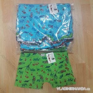 Boxers youth boys (11-16 years) ELEVEK 4014
