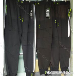 Men's Sweatpants (m-3xl) POLISH FASHION IM1019QNA-1065
