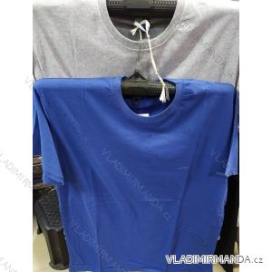 T-shirt short sleeve men (m-2xl) TURKISH MODA OBS19130
