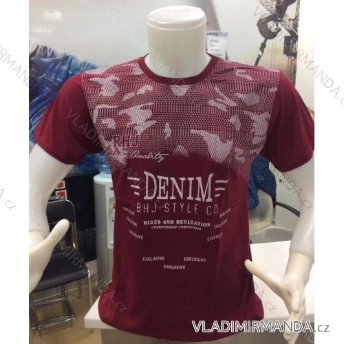 T-shirt short sleeve men (m-2xl) TURKISH FASHION TM120003