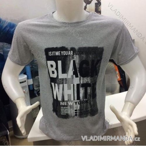 T-shirt short sleeve men (m-2xl) TURKISH FASHION TM120005
