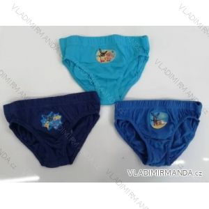 Panties frozen kingdom baby girl (2-8 years) SETINO 731-FR-G-UW-05