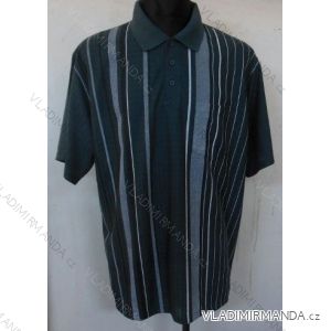 Polo shirt short sleeve (l-3xl) BATY PNAM-SOC DOC
