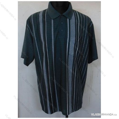 Polo shirt short sleeve (l-3xl) BATY PNAM-SOC DOC
