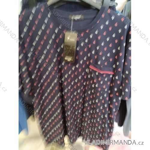 MEN'S SHORT MEN (m-3xl) LEMON LEM20004