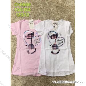 T-shirt short sleeve teen girls (134-164) SAD SAD20CH5669
