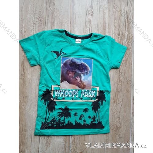 T-shirt 3D changing image of a dinosaur. short sleeve children youth boys (128-164) TURKISH FASHION TVF20021