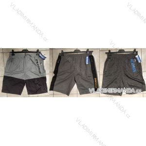 Men's shorts (L-3XL) DUNAUONE TOV20008
