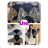 Winter jacket (UNI S/L) POLIAN Fashion SSW20413