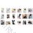footwear catalog OBT210124