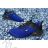 footwear catalog OBT210130