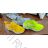 ootwear catalog OBT21tenisky