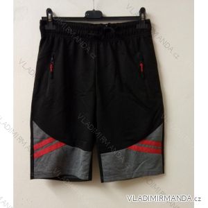 Men's shorts (L-3XL) QIFENG A2253