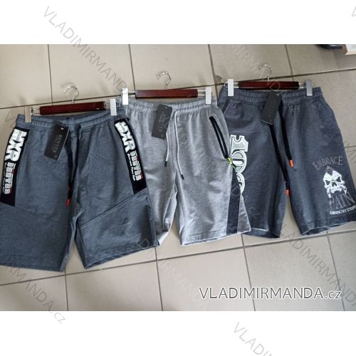 Shorts men's camouflage shorts (m-xxl) BENTER BES2128279