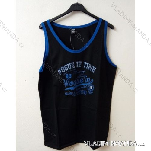 Men's cotton t-shirt (m-2xl) VOGUE IN VOG2169525