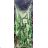 Women's strapless dress (uni s / m) ITALIAN FASHION IMM20HF13170