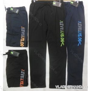 Men's tracksuit trousers (m-3xl) REFREE 63074
