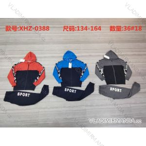 Set hooded sweatshirt with zipper and sweatpants youth boys (134-164) ACTIVE SPORT ACT21XHZ-0388