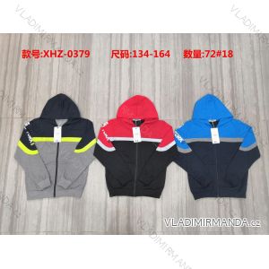 Zip hoodie teenagers boys (134-164) ACTIVE SPORT ACT21XHZ-0379