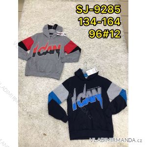 Boy's hooded sweatshirt (134-164) ACTIVE SPORT ACT21SJ-9285