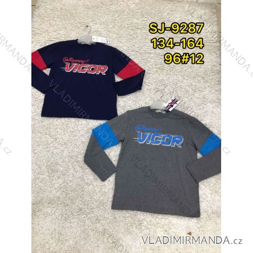 T-shirt long sleeve youth boys (134-164) ACTIVE SPORT ACT21SJ-9287