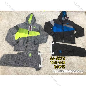 Set hooded sweatshirt with zipper and sweatpants youth boys (134-164) ACTIVE SPORT ACT21SJ-9275