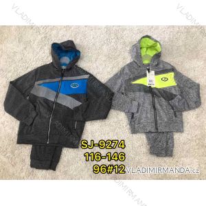 Set hooded sweatshirt with zip and sweatpants children teenagers boys (116-146) ACTIVE SPORT ACT21SJ-9274