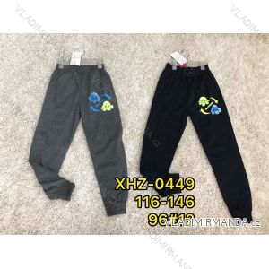 Sweatpants weak children's boys (116-146) ACTIVE SPORT ACT21XHZ-0449