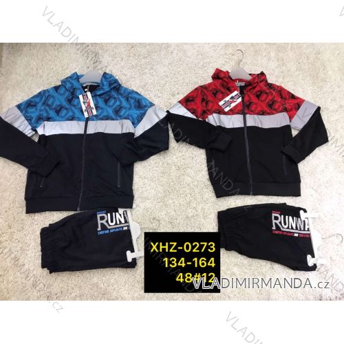 Set hooded sweatshirt with zip and sweatpants boys (146-176) ACTIVE SPORT ACT21XHZ-0390